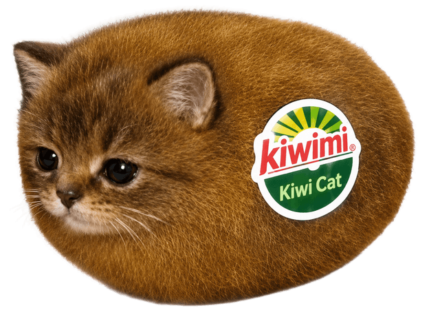 kiwi cat sticker